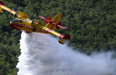 حرائق الغابات في شمال المغرب.. هل تكفي تعبئة الطوارئ دون سياسة وقائية؟