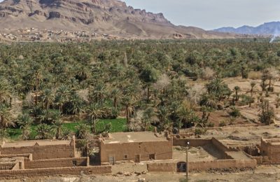13 مليار سنتيم لإنقاذ واحات زاكورة.. المال حاضر، فهل يحضر الماء والفلاح؟